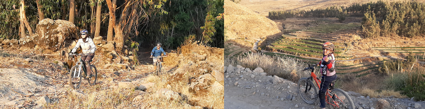 Quechua Explorer Arequipa